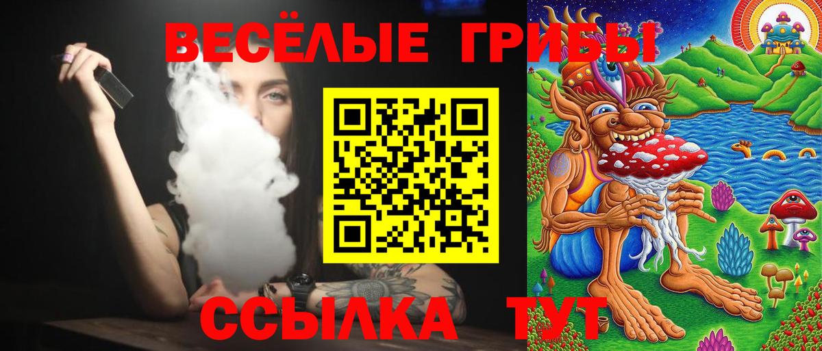 Смоленск  Галлюциногенные грибы прущие грибы  Вход с VPN 