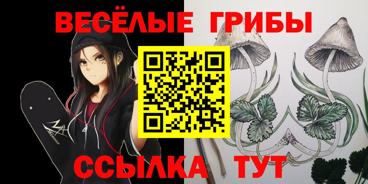 Псилоцибиновые грибы мухоморы Смоленск